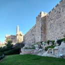 예루살렘(6) 성만찬장소와 다윗의 가묘 이미지