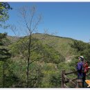 좌구산자연휴양림 이미지