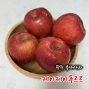 부사시장 | 광주과일 부사사과 케이제이푸르트 사과맛집