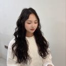 데이오유 네이버블로그