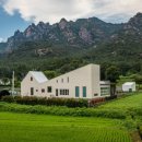 미적공감 이미지