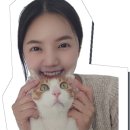 스테이서화 이미지