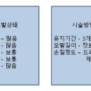 이룸헤어 이미지