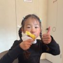 엘에스와이 이미지