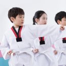 경희대 아이사랑 태권도 이미지