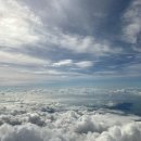 우진세탁 | 제주 2박 3일 여행｜1일차 추천 코스 – 제주미가 · 아베베 베이커리 · 야크마을 · 서귀포 올레시장