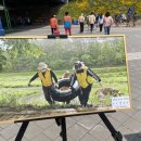 참신환경 이미지