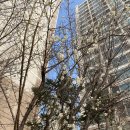 꽃피는봄한의원 이미지