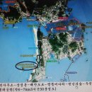 신안 김밥나라 앞 Daum카페