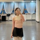 파만산업(주) | 룰리 이바나,알루비, 델라로, 레페토 등등 리뷰하기 발레 코디 _취미 발레 레오타드, 워머 추천