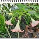 전속공인중개사사무소 이미지