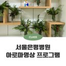 서울특별시은평병원 | 은평병원 아로마테라피 명상 프로그램 - 생화 트리 만들기