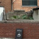 STUDIO52 | [공지] [구리] 넵 카페 Nap.Studio.Cafe 방문 후기