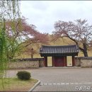 [대구일보] ＜8＞ 미추왕과 죽엽군...신라 김씨왕조 이미지