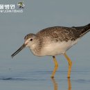 사촌1천 이미지