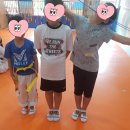 솔로몬 태권도장 이미지