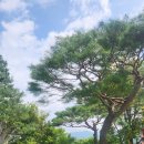 인제18-1 이미지