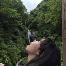 춘동3 이미지