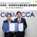 글로벌F&C