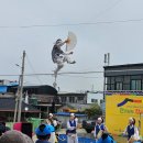 해남매일시장 이미지