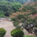 충경사