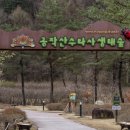 쥬라기체험