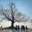 군산의 `신시도`에서~~! 이미지