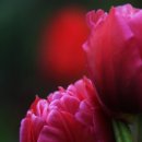 의료법인수연의료재단 이미지