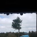 편운산장 이미지