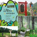 별·꽃으로 피는 마을 천상의 화원 ‘함백산 야생화축제 2019’ 이미지