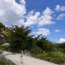 산꽃들꽃펜션민박 이미지