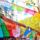 힐링나라 이미지