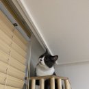 보람타워 이미지