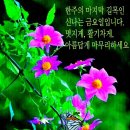 멋진인생 이미지