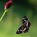 하나방문요양센터 이미지