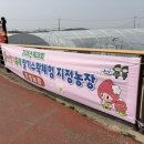 주성농장 이미지