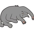 악필 교정과 캘리그라피 이미지