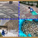 해품은농장 이미지