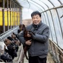 초방리 농장 이미지