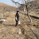 배준농장 이미지