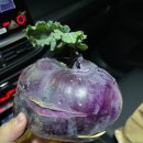 고산별이아름답다