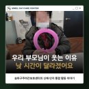 02-1 노인상담과 치매예방과정 활동과정 | 송파구주야간보호센터 우리 부모님이 웃으며 하루를 보내는 이유 | 데이케어센터 치매예방
