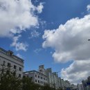 썸데이 헤어 이미지