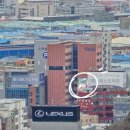 줌 | 갤럭시S24울트라 써클투서치 및 AI지우개부터 번역, 100배줌후기