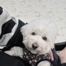 개스트룸 이미지