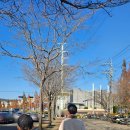 [초등4~6학년] 신트리 어린이 독서 동아리 | 울산 북구 당사동 울산어린이독서체험관 별바다 대중교통으로 이용하기