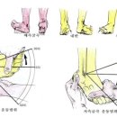 아식스강남직영점