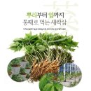 산골짜기 이미지