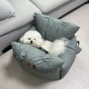 개과천선 | 강아지 카시트 추천 | 개과천선 베일리 카시트 사용 후기