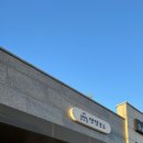 댕댕보스 이미지